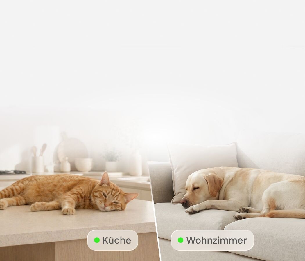 A split-screen view showing an orange cat napping on a kitchen counter next to a Furbo 360° Cat Camera, and a yellow labrador sleeping on a light-colored sofa in the living room.