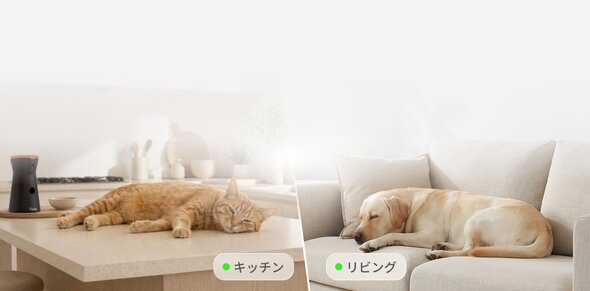 A split-screen view showing an orange cat napping on a kitchen counter next to a Furbo 360° Cat Camera, and a yellow labrador sleeping on a light-colored sofa in the living room.