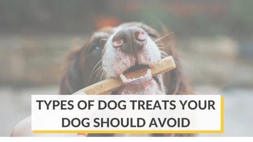 Types of Dog Treats Your Dog Should Avoid