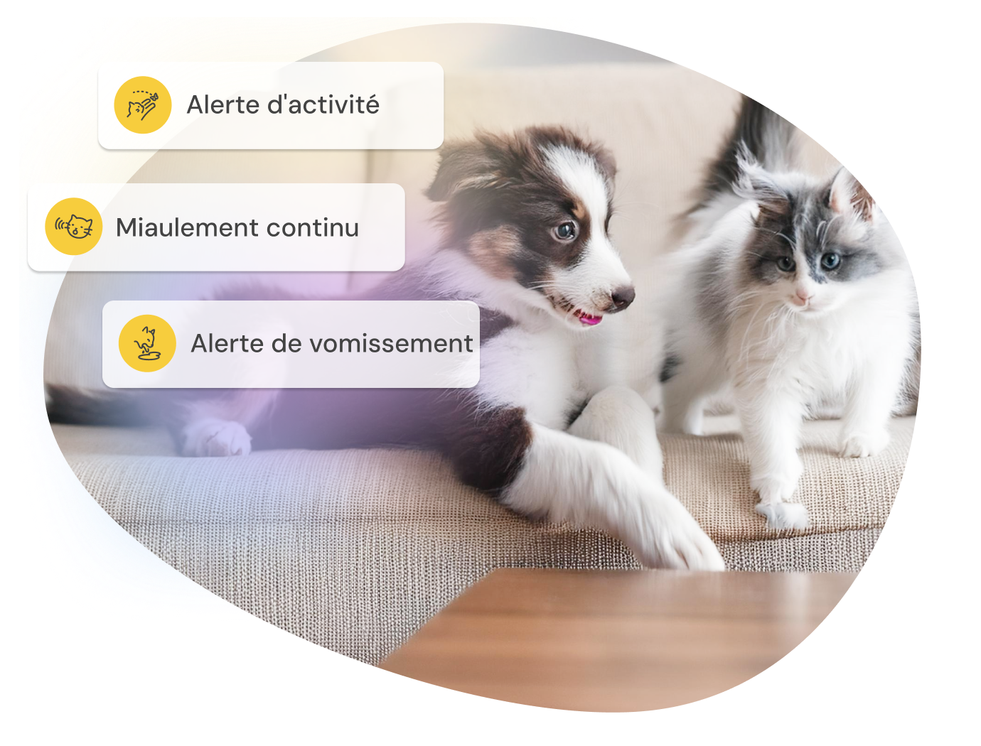 Three smart alert notifications appear over a dog and a cat, highlighting activity and behavior detection.