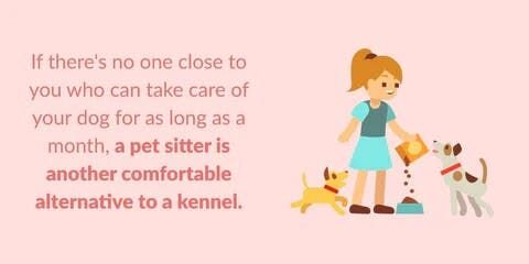 2. プロのペットシッターに預ける