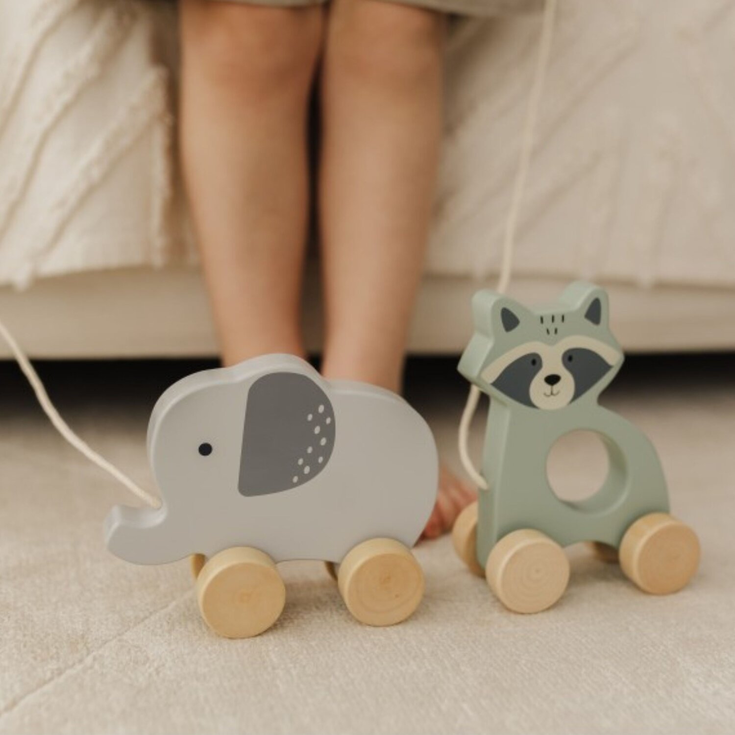Wooden Pull Along Toys