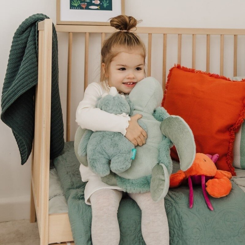 Plush Turtle Toy
