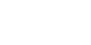 Texas Instruments