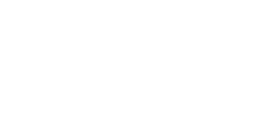American Airlines