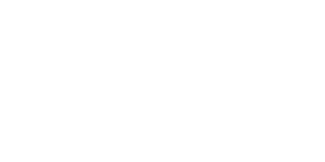 BorgWarner