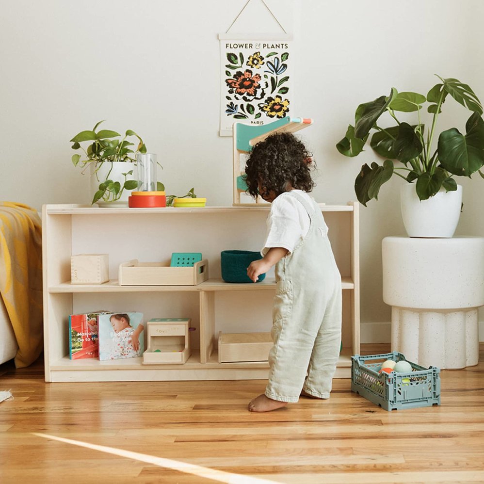 Montessori Playshelf