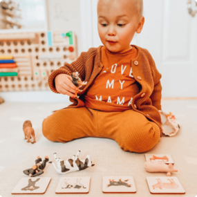 Boy playing with Montessori Animal Match game