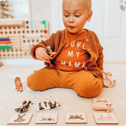 Boy playing with Montessori Animal Match game