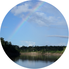 Amazonian wetlands in Brazil