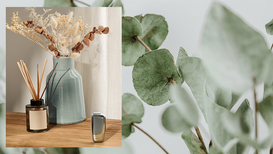Koláž – vôňa do interiéru, sušené kvety v zelenej váze a eukalyptové listy.