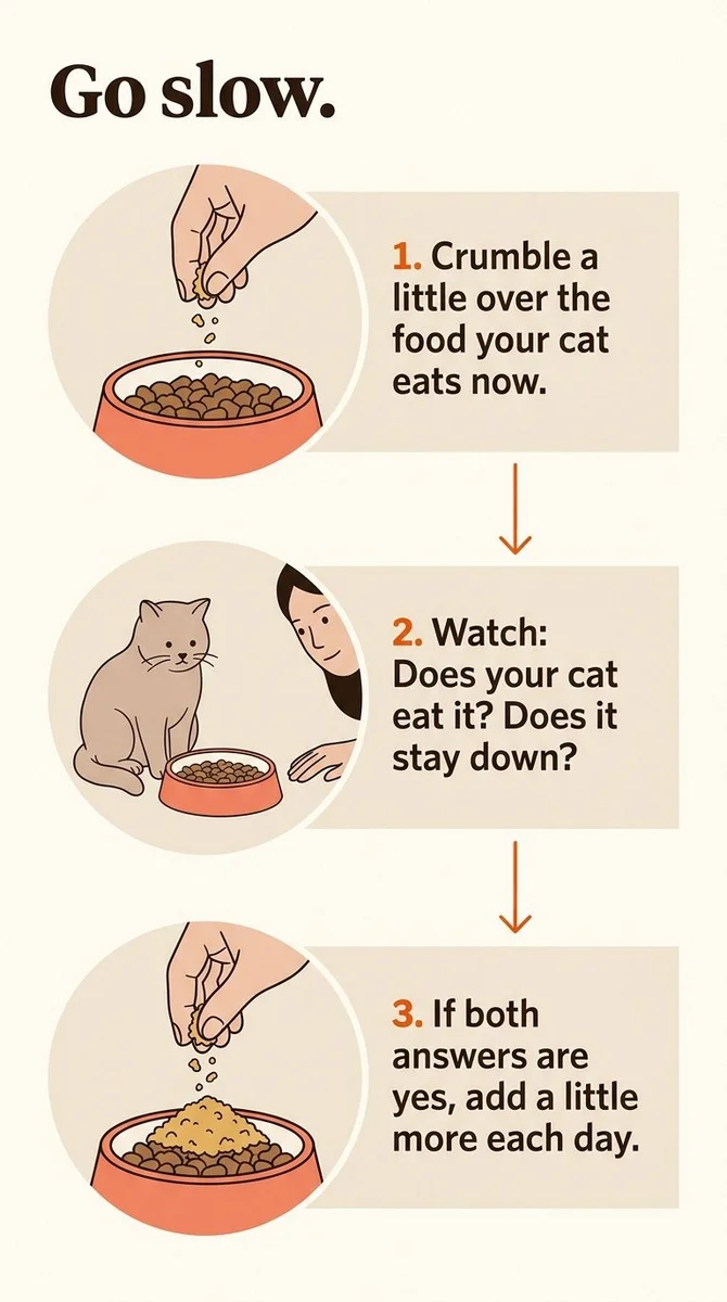Step-by-step guide to crumbling Cat Crumbles over your cat's current food