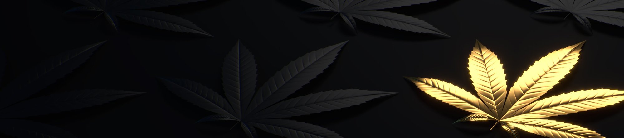 Banner Background