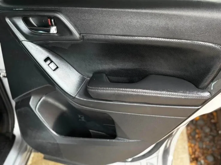 Rivian R1S rear door panel after interior detailing