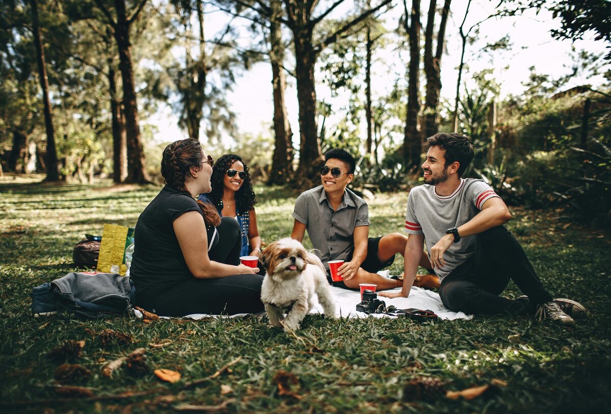 Group of 4 people in their 20s enjoying a day at the park with a dog