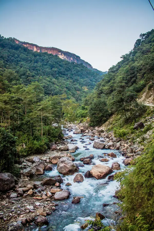 Rocky mountain stream flowing through a green forested valley, Nepal