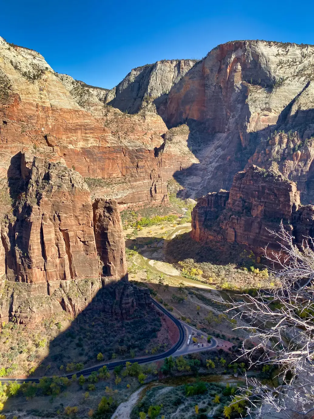 Towering red sandstone cliffs of Zion Canyon viewed from above, with a road winding along the green valley floor under a clear blue sky.