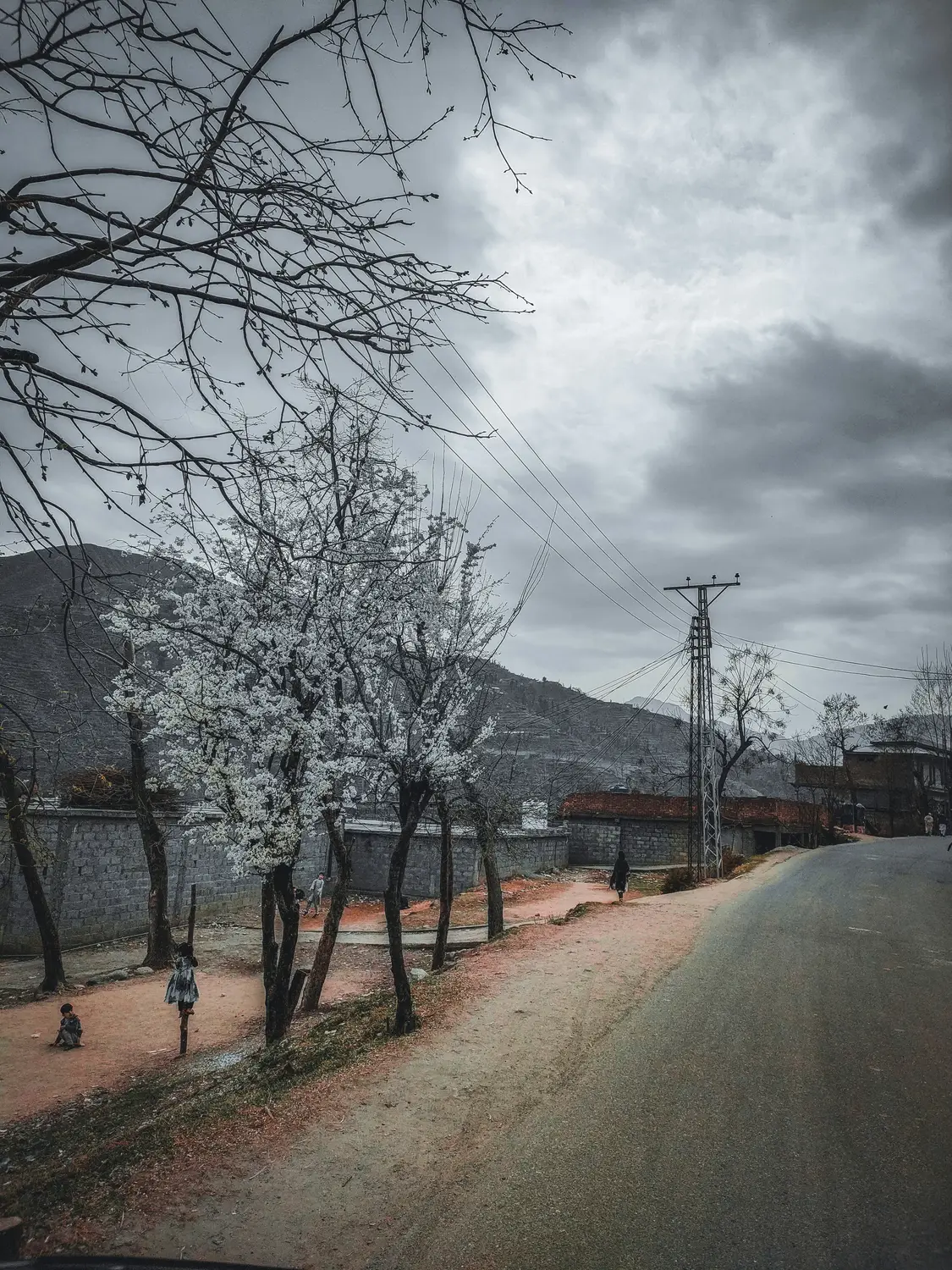 Empty dirt road lined with bare winter trees in mountain village Pakistan