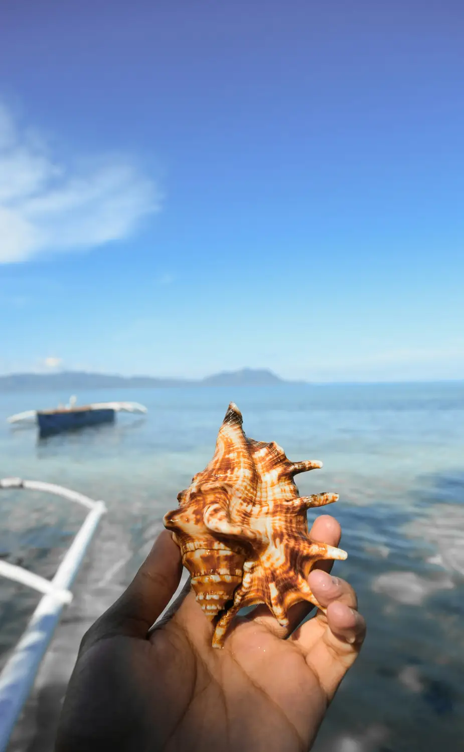 Hand holding a conch seashell above clear turquoise water with an island on the horizon in the Philippines.