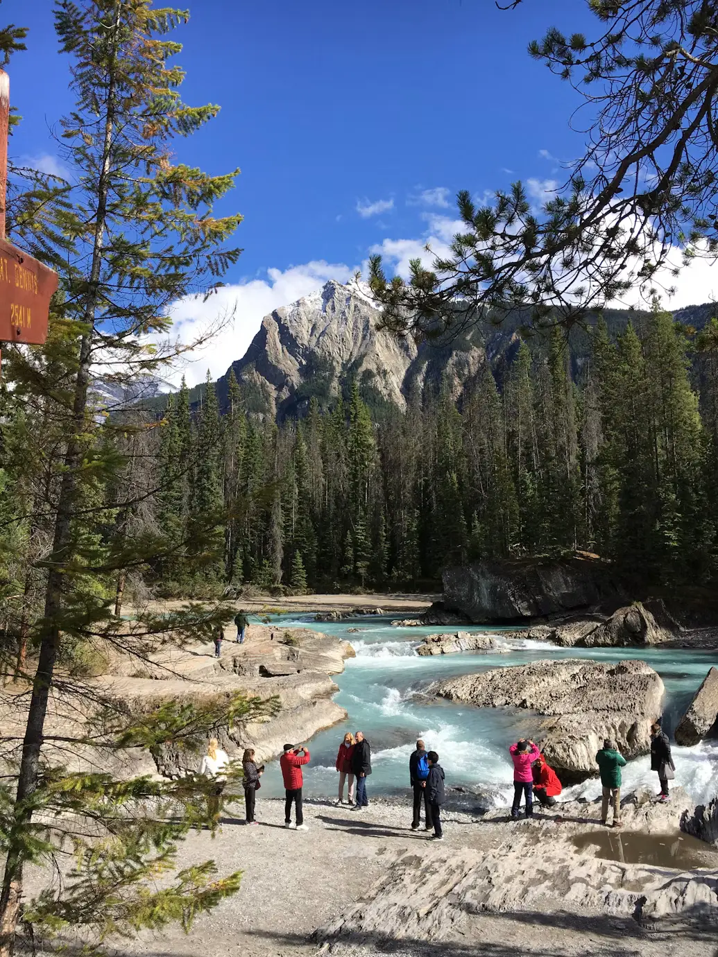 A group of people standing along a turquoise glacial river with mountain peaks and pine trees in the background.