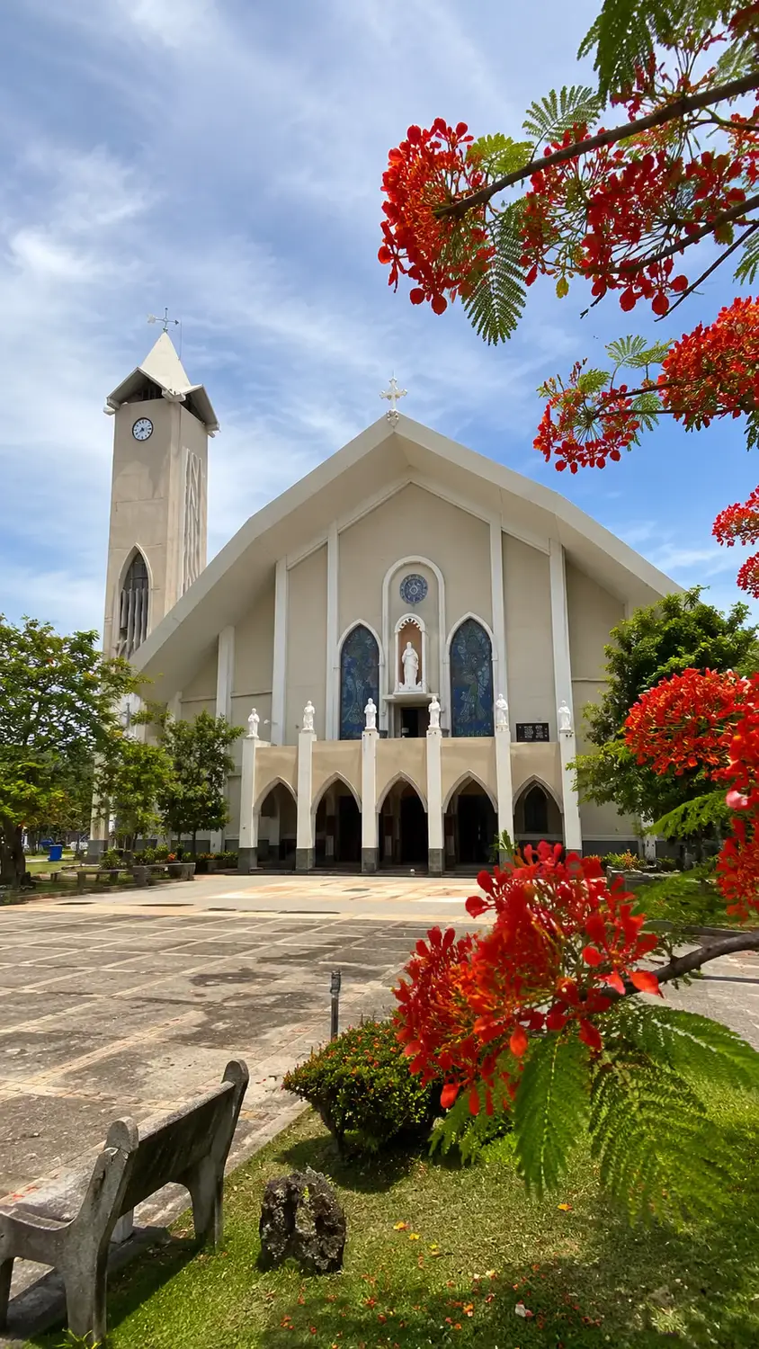 Immaculate Conception Cathedral in Dili, Timor-Leste – white Catholic church with Gothic arched entrance, clock tower, and red flamboyant tree in the foreground