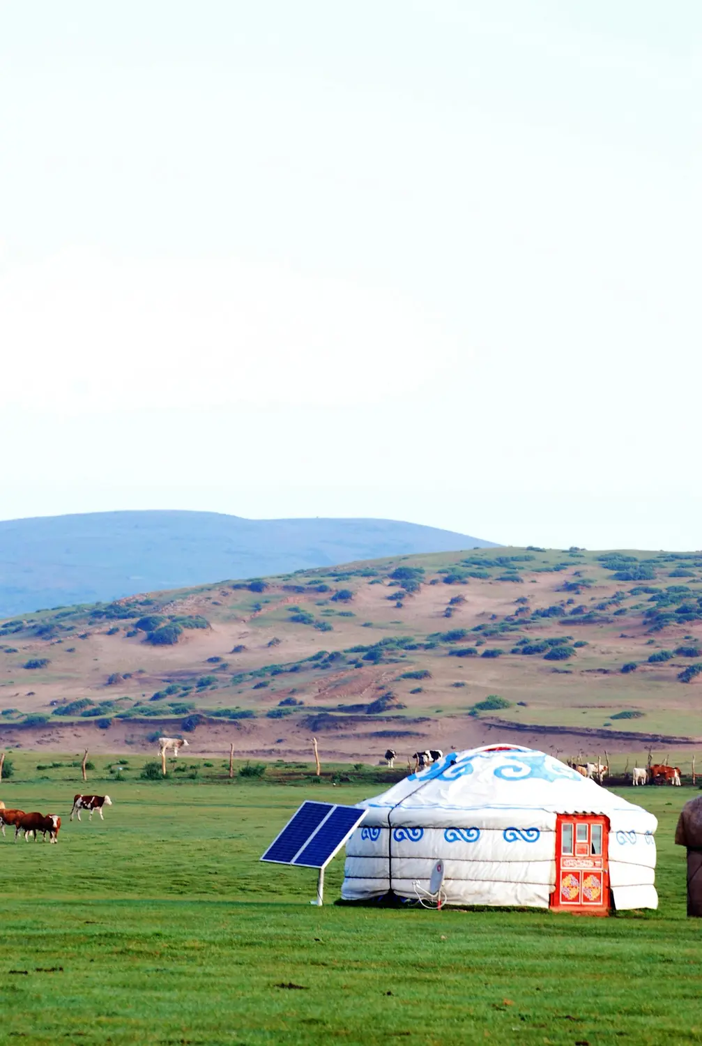 A white yurt decorated with blue swirl patterns and a red door, fitted with a solar panel, sitting on a vast green Mongolian grassland with grazing cattle