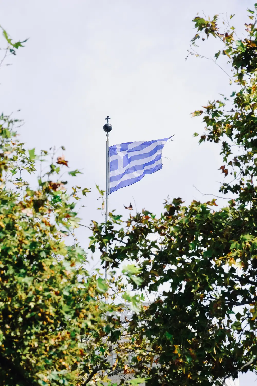The Greek flag flying above tree branches against a pale sky.