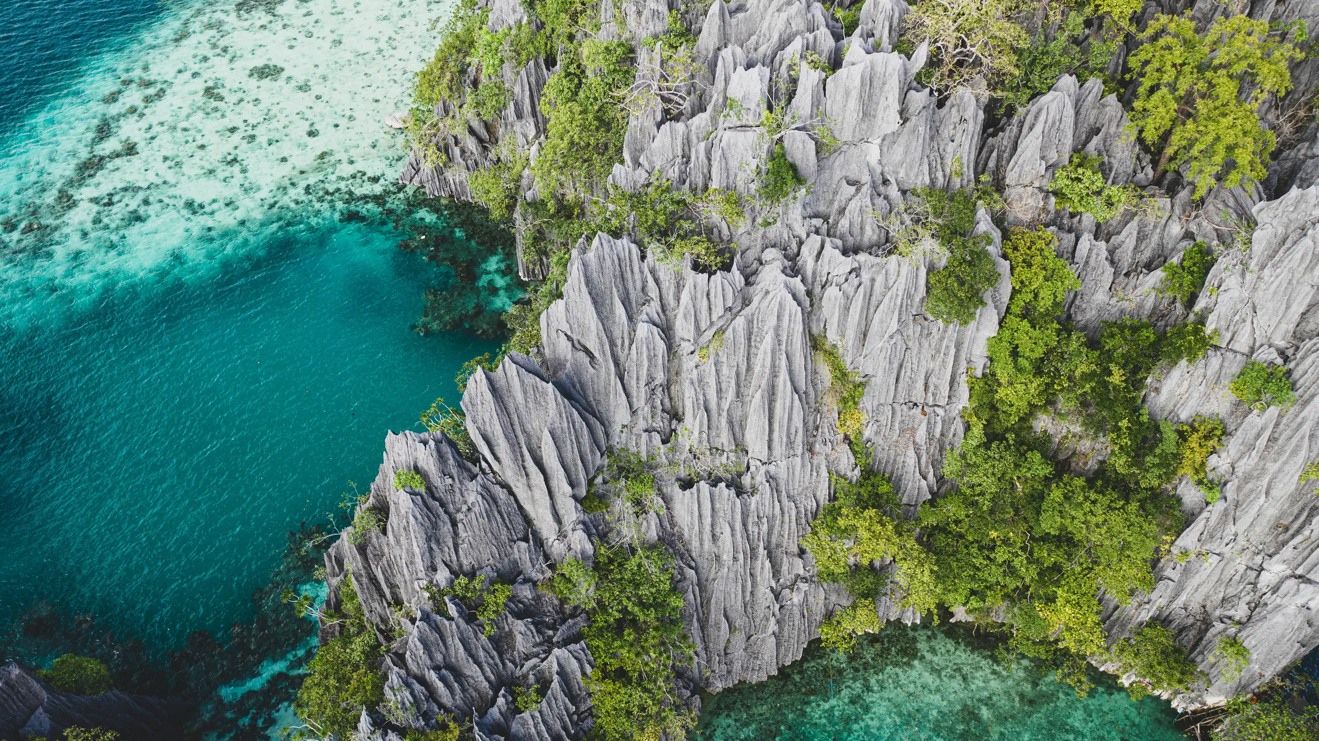 Aerial view of jagged limestone karst cliffs meeting turquoise water and coral reefs in Coron, Palawan, Philippines.