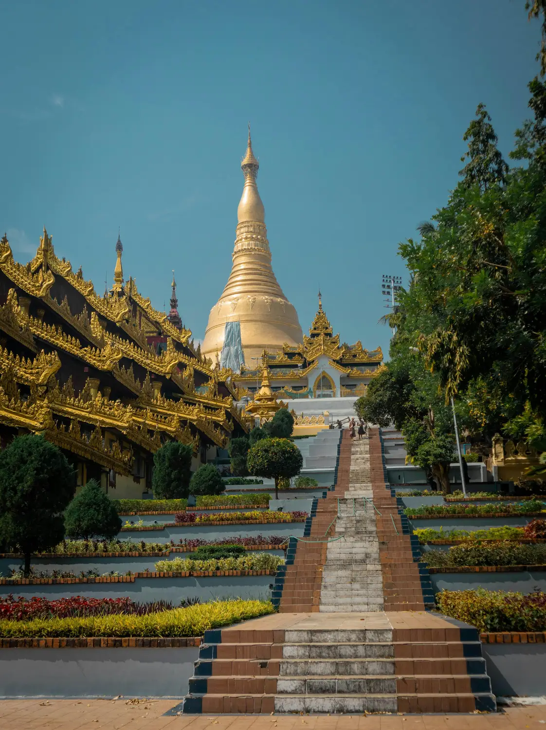 Shwedagon Pagoda golden stupa rising above ornate gilded temple rooftops and landscaped garden stairway, Yangon Myanmar