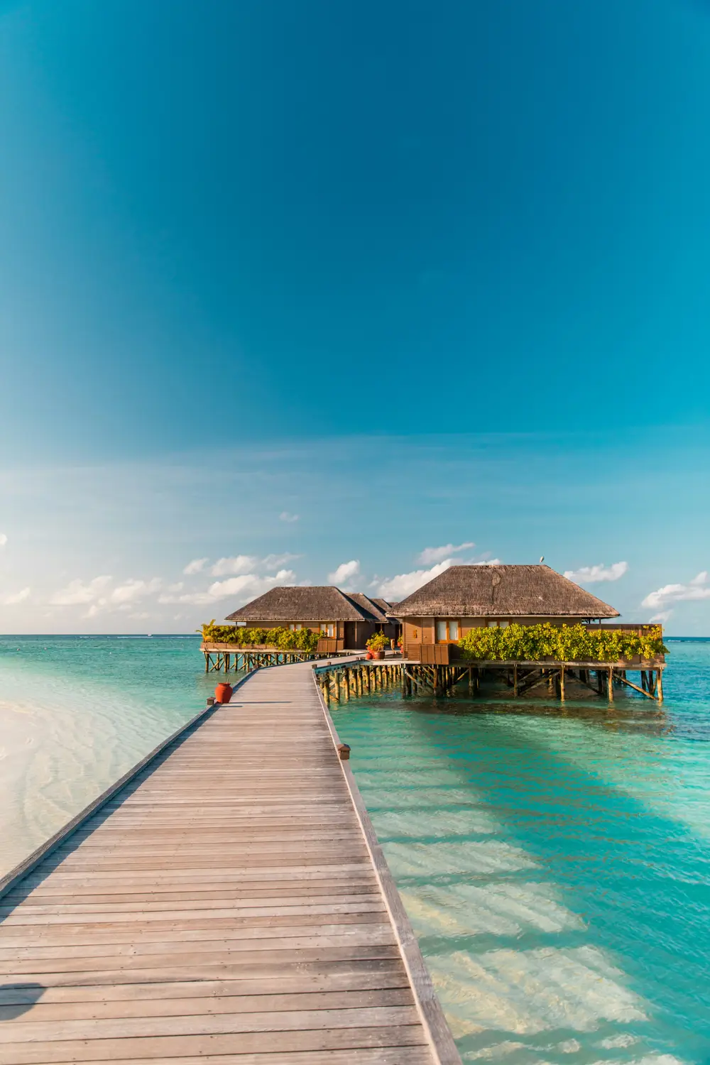 Wooden boardwalk jetty leading to thatched roof overwater bungalows over turquoise lagoon under blue sky in Maldives resort
