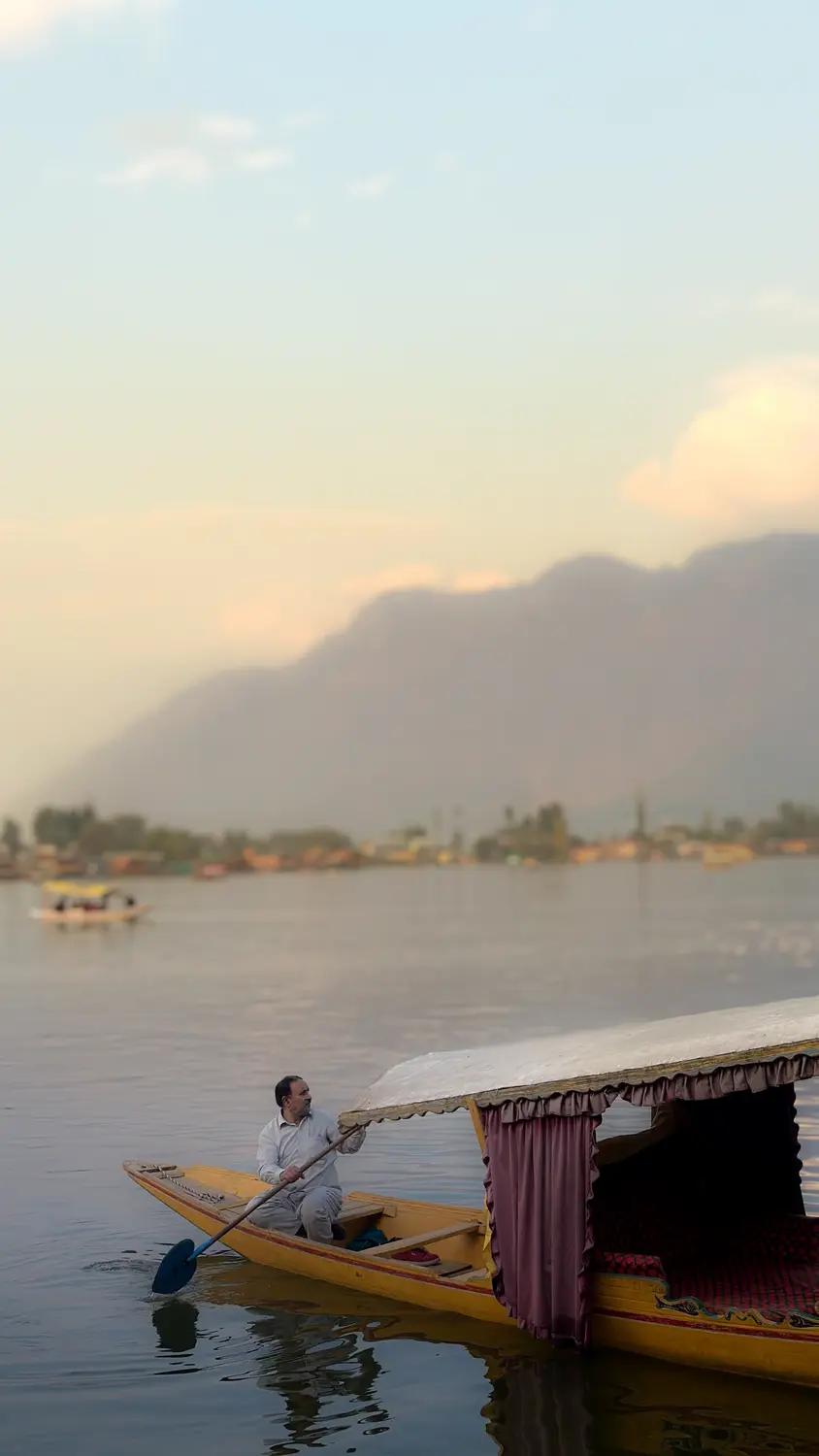 Kashmiri boatman rowing traditional wooden shikara on tranquil Dal Lake at sunset with mountain backdrop, Srinagar, India