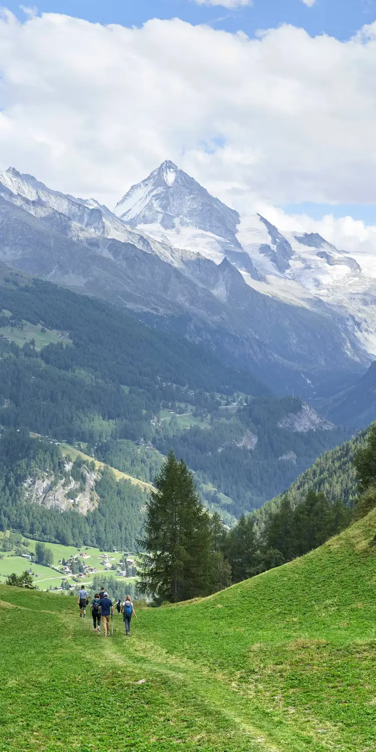 Hikers on a green alpine trail with snow-capped mountain peak in the background, Switzerland