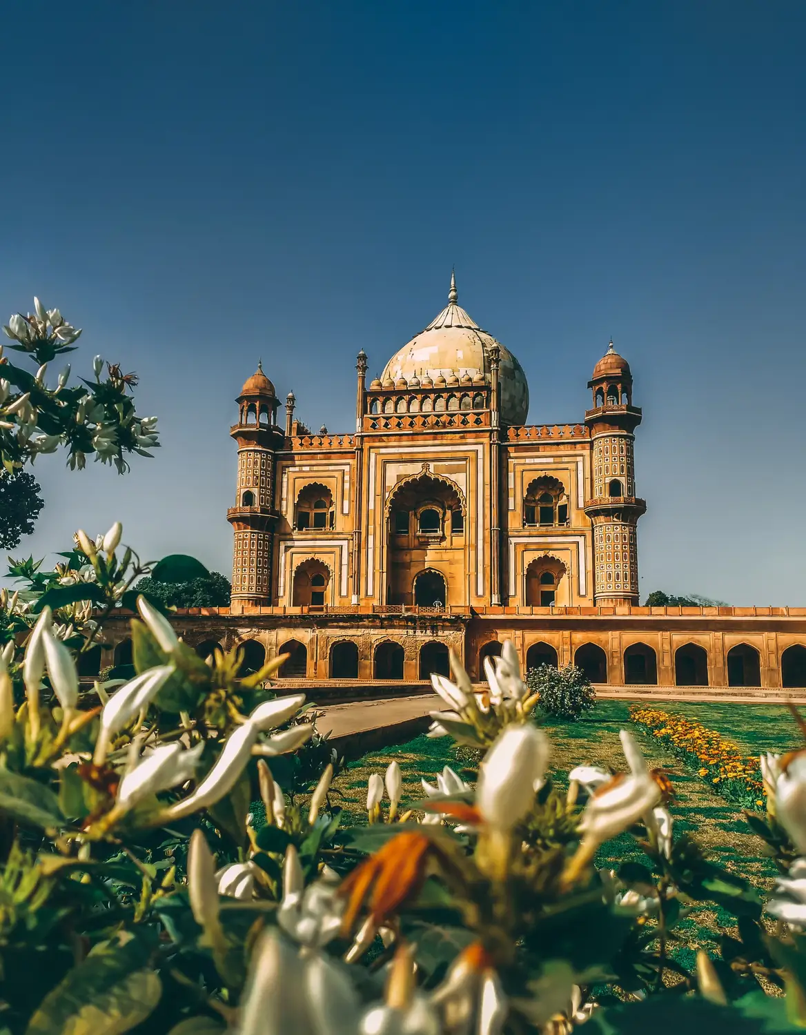 Safdarjung Tomb Mughal architecture red sandstone mausoleum with white flowers in foreground, New Delhi, India