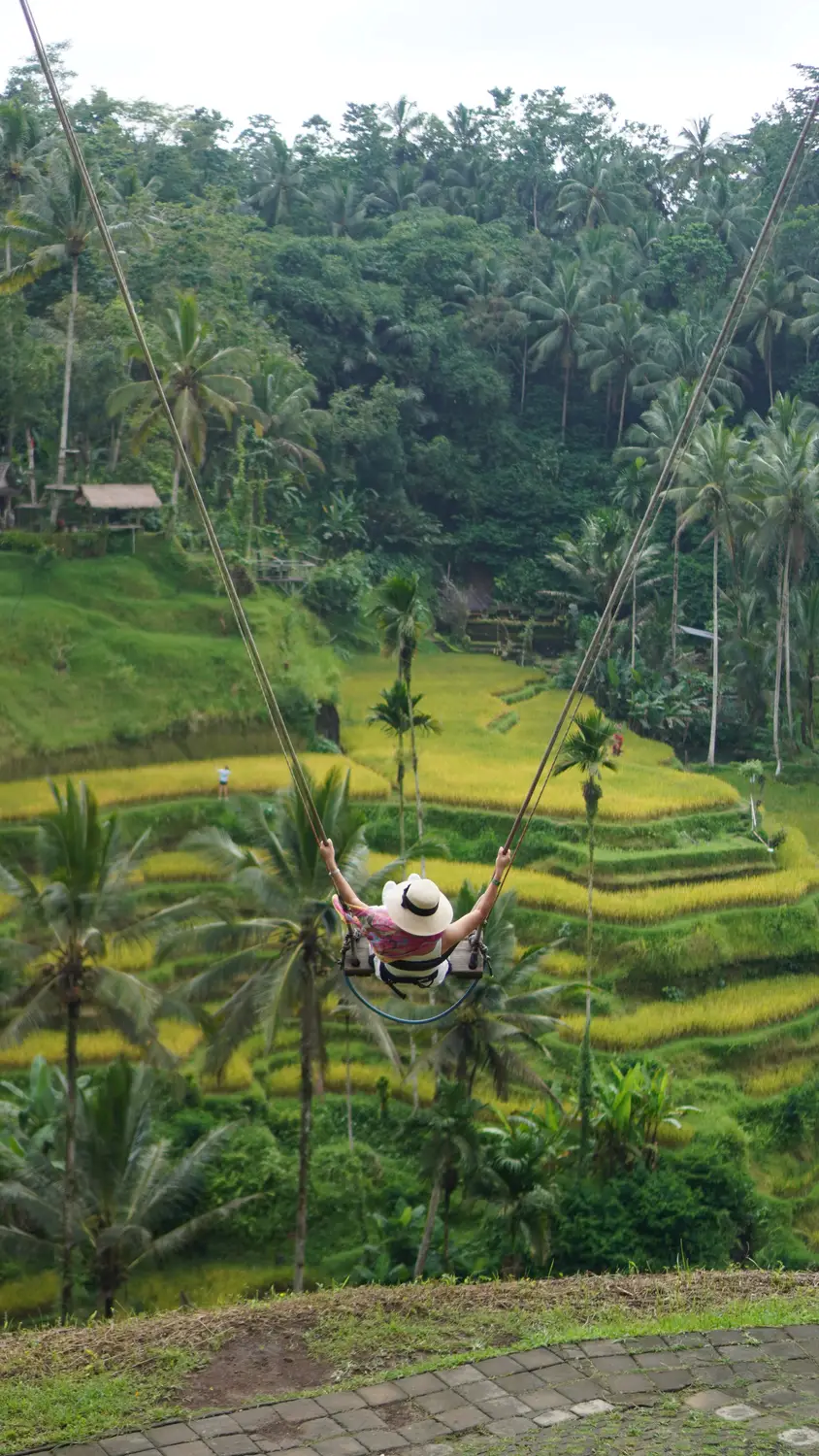 Terraced green rice paddies surrounded by palm trees and tropical jungle, with a small traditional pavilion nestled in the hillside in Bali, Indonesia.