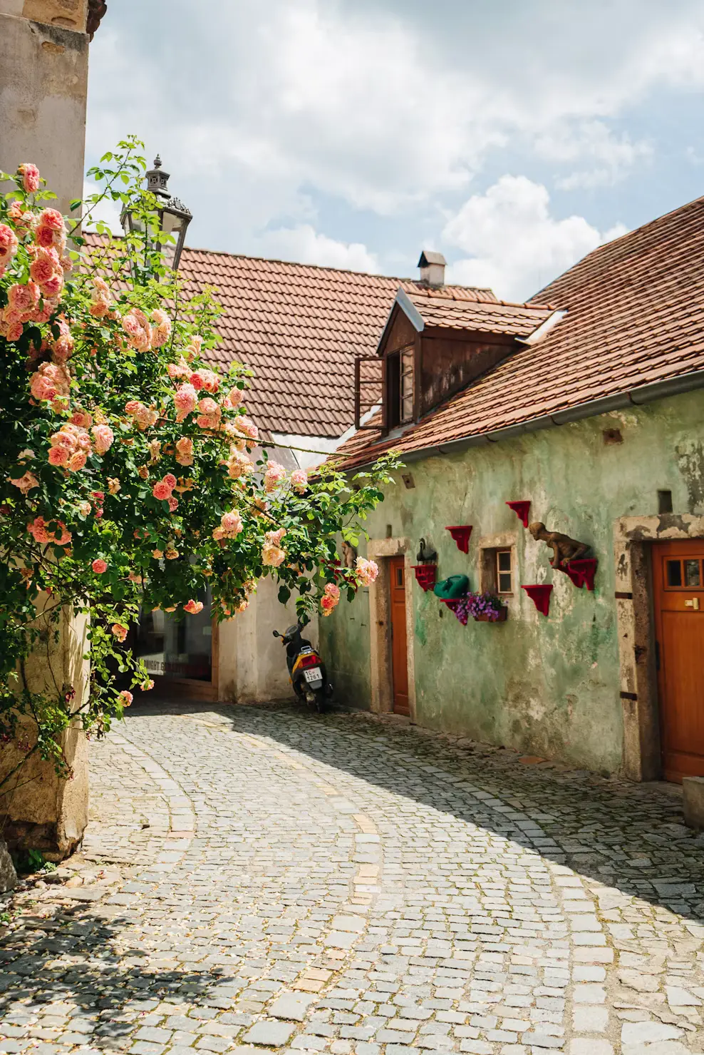 Cobblestone alley with climbing pink roses beside a weathered stone building in Prague.