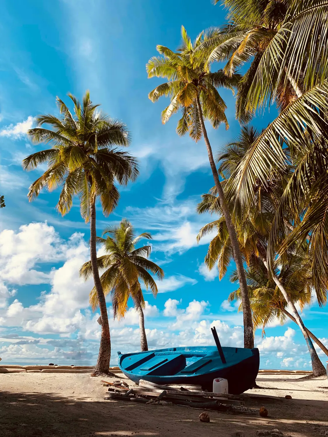 Tropical white sand beach with leaning coconut palm trees and traditional wooden boat under blue sky in Maldives
