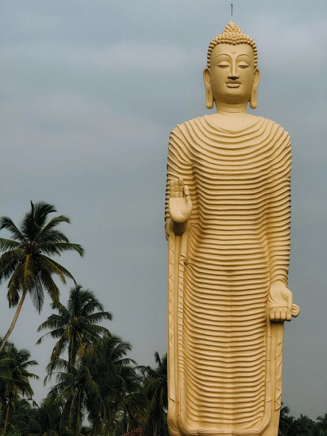 Tall golden standing Buddha statue framed by palm trees against a cloudy sky in Sri Lanka.