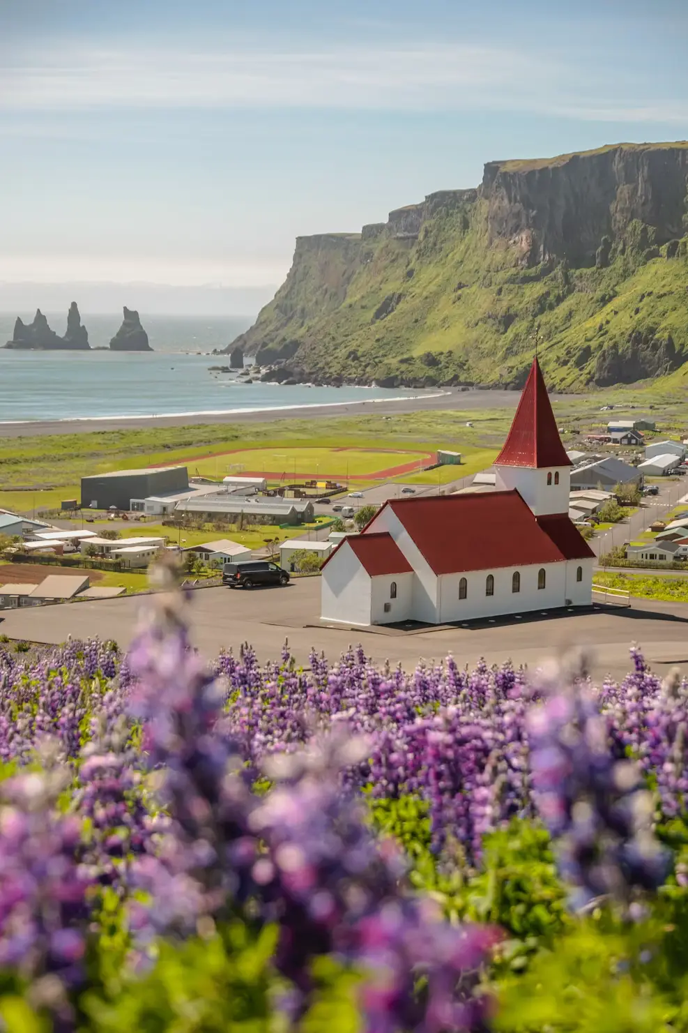 Red-roofed church surrounded by purple lupine fields, with sea stacks and coastline visible in the distance, Iceland.