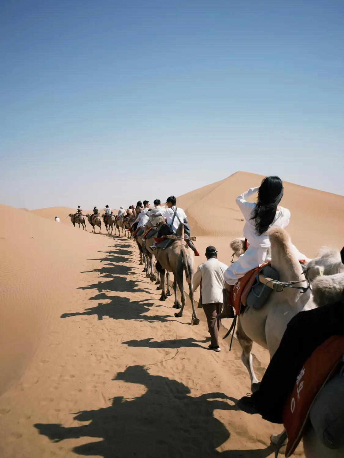 A long line of tourists riding camels across golden Gobi Desert sand dunes under a clear blue sky
