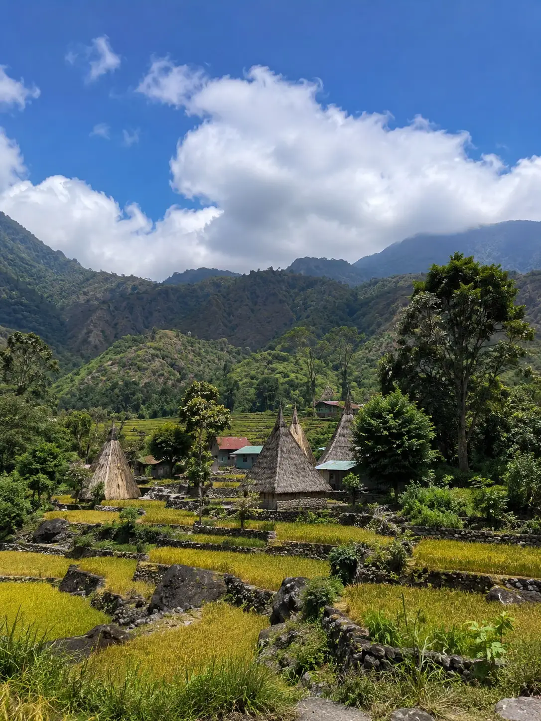 Traditional stone house ruins surrounded by lush green mountains Timor-Leste