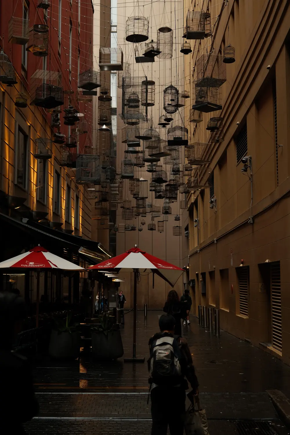  Narrow laneway with hanging lanterns and outdoor cafe umbrellas in The Rocks, Sydney