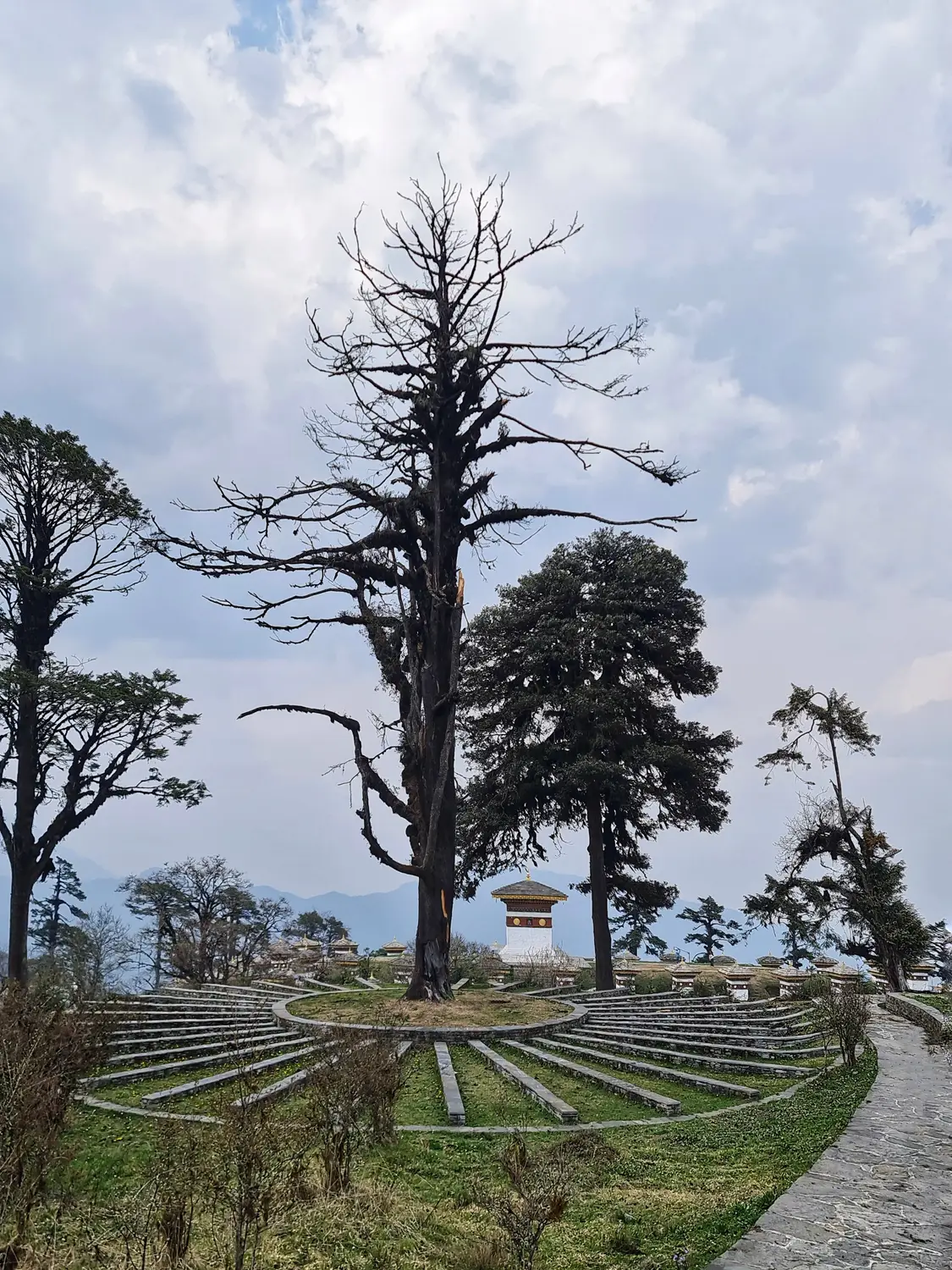 Mountaintop viewpoint with tall weathered trees, tiered stone terracing, and a cloudy sky over the Himalayan landscape in Bhutan.