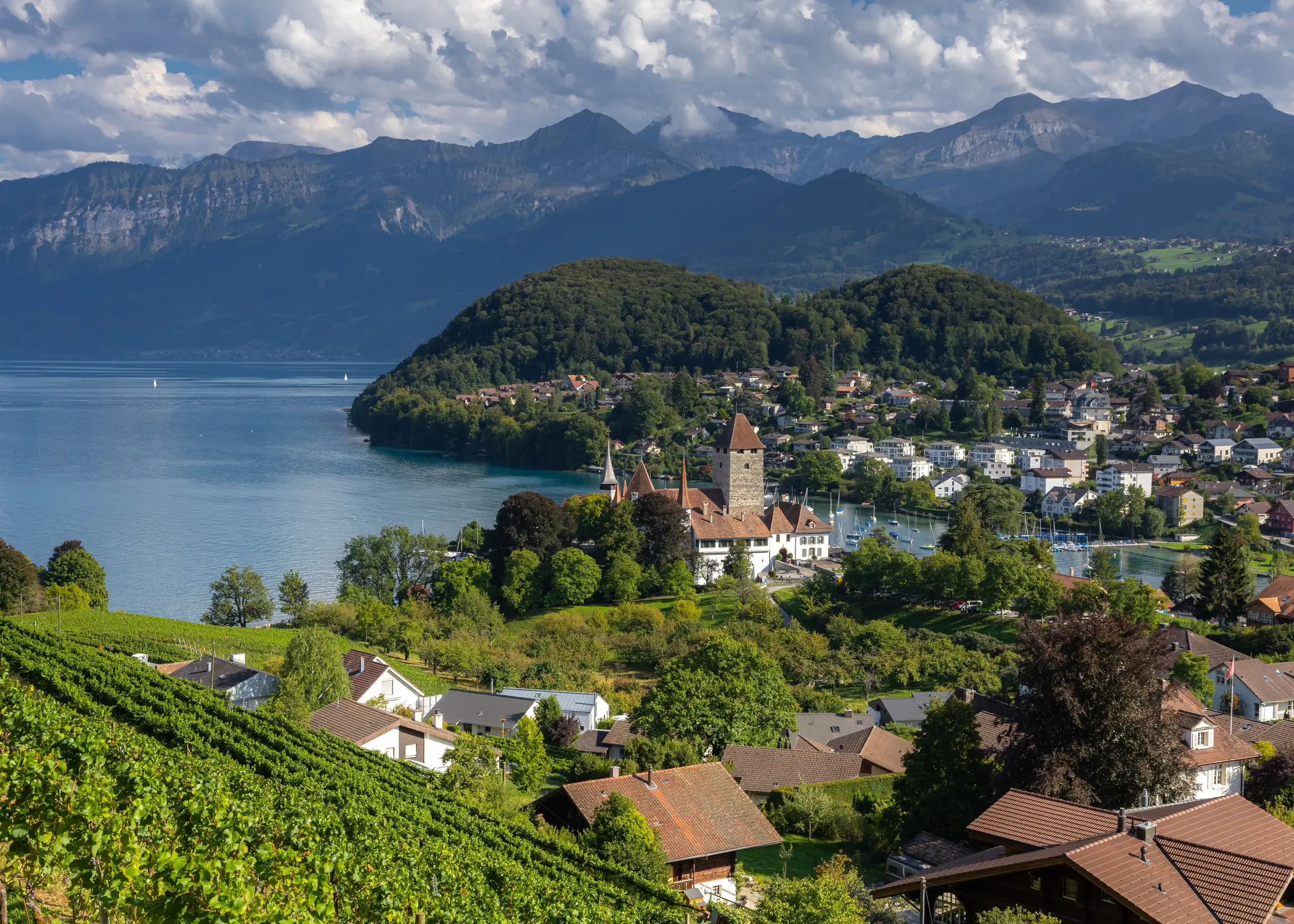 Vineyard-covered hillside overlooking a lakeside village and mountains, Switzerland