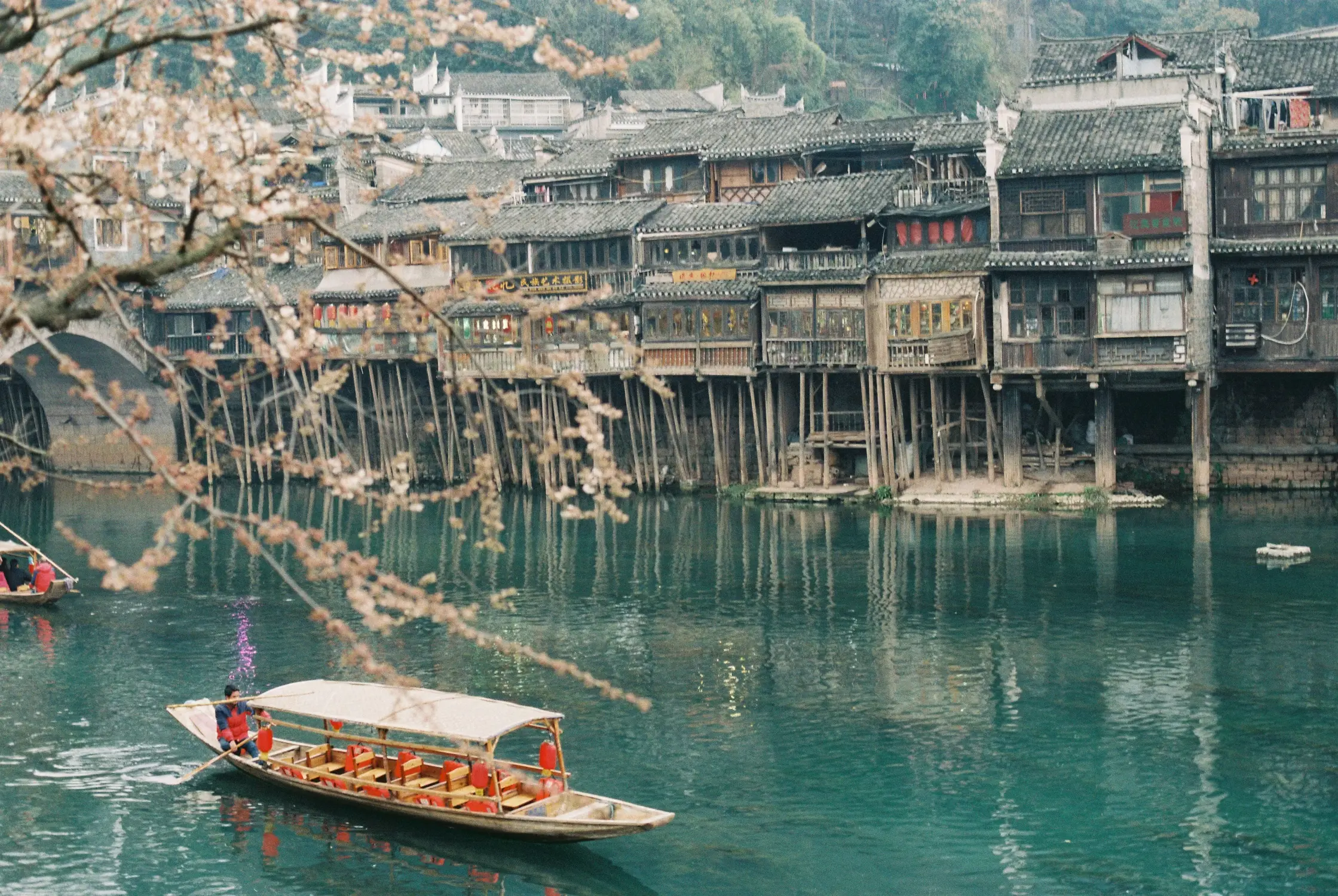 Traditional wooden stilt houses along Tuojiang River in Fenghuang Ancient Town with rowboat and cherry blossom branches in foreground