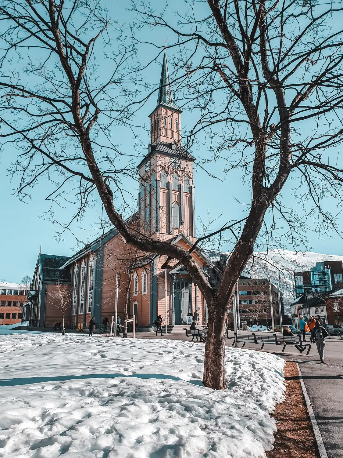 A stone church with a tall spire on a snowy street, framed by the bare branches of a winter tree.