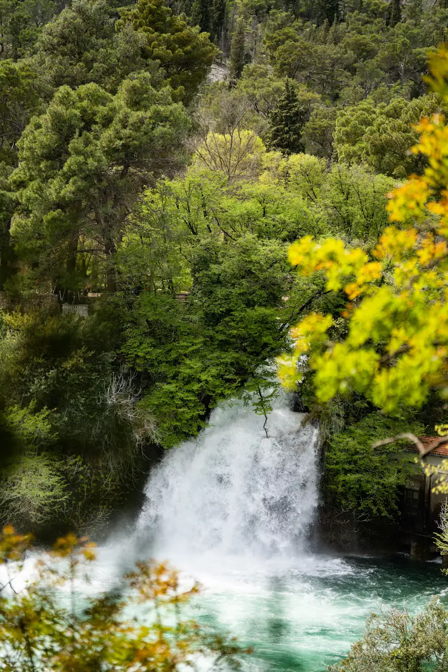 Waterfall cascading into a turquoise pool, surrounded by dense green forest with a hint of autumn color.