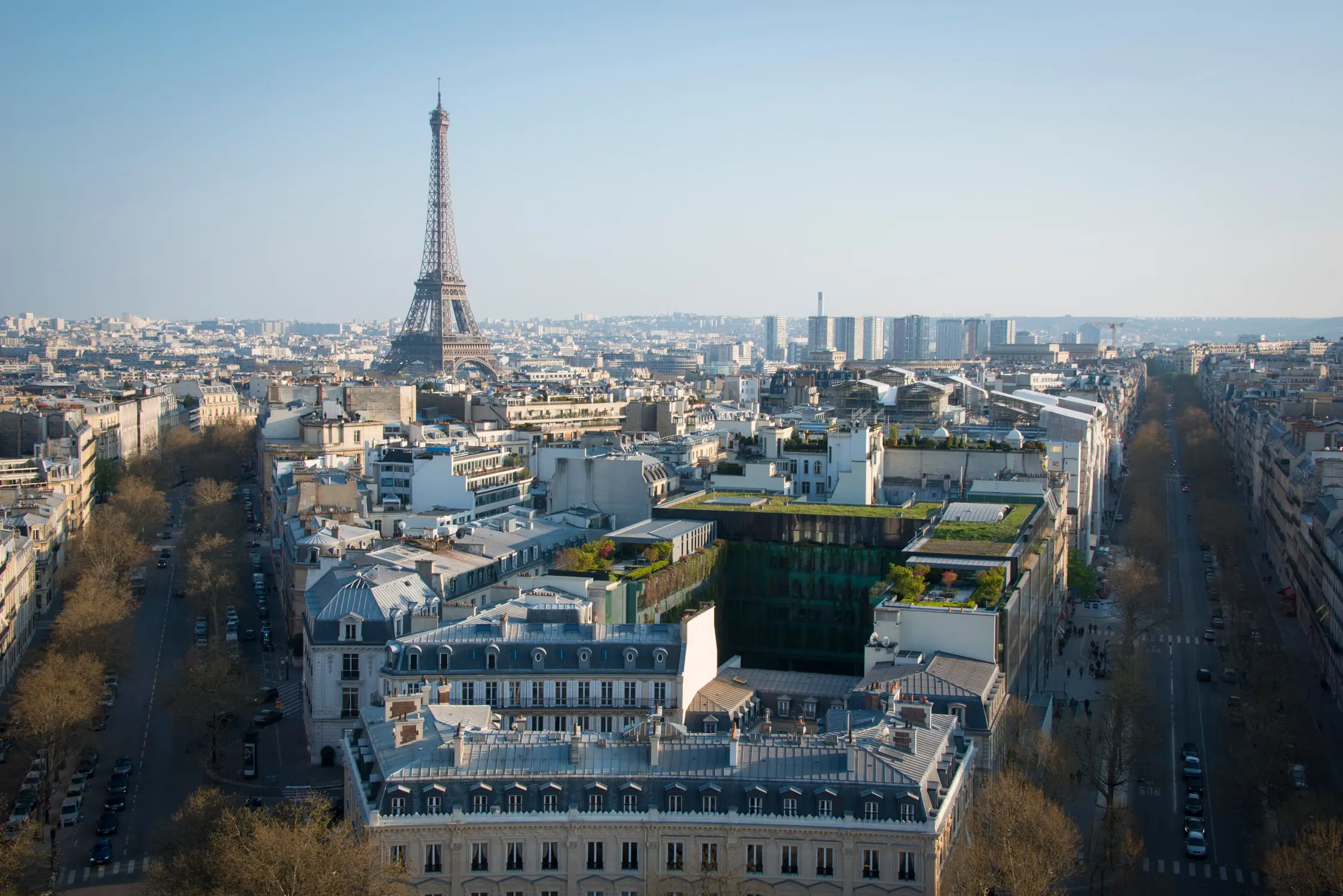Aerial view of Paris rooftops and tree-lined avenue with the Eiffel Tower on the horizon