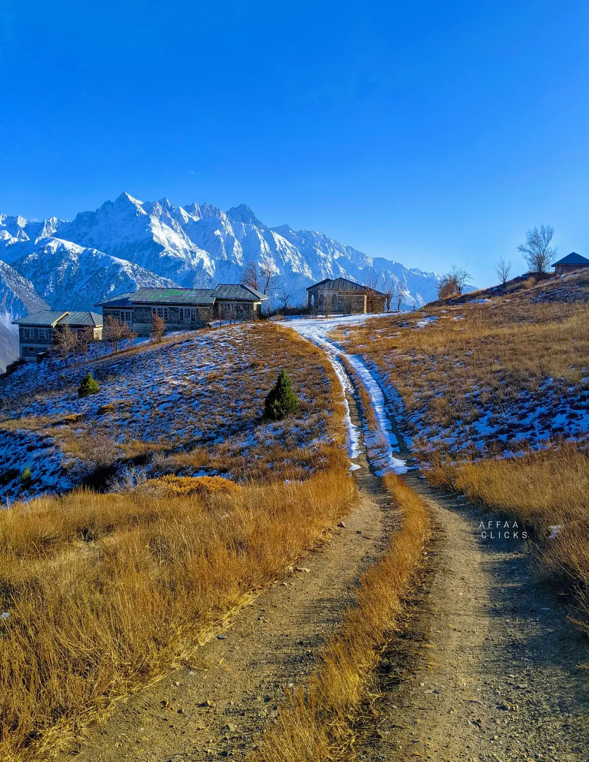 Dirt trail through golden meadows with snow covered Karakoram peaks Gilgit-Baltistan Pakistan
