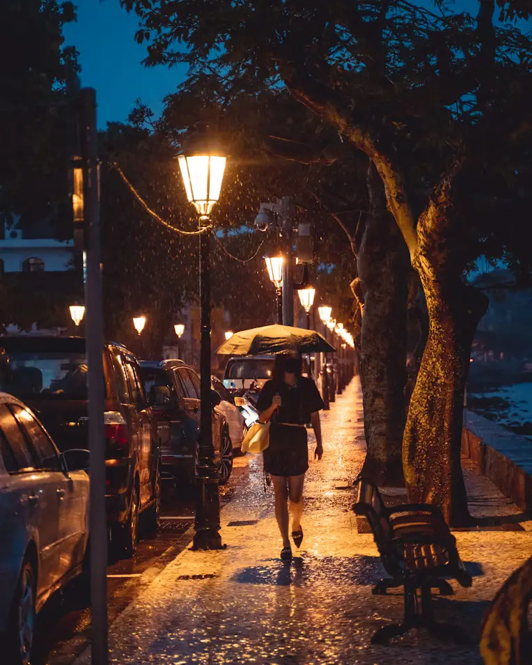 Woman walking with umbrella on rainy tree-lined promenade at night, Macau