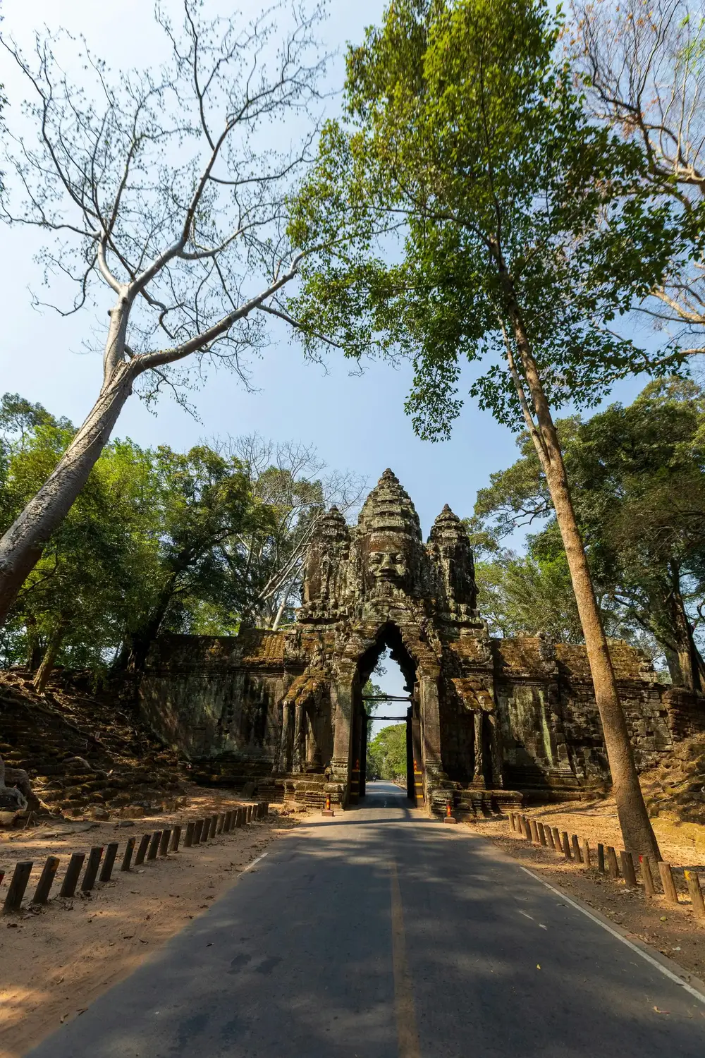 Tree-lined road leading to North Gate of Angkor Thom with ancient stone face tower and arched entrance, Siem Reap, Cambodia